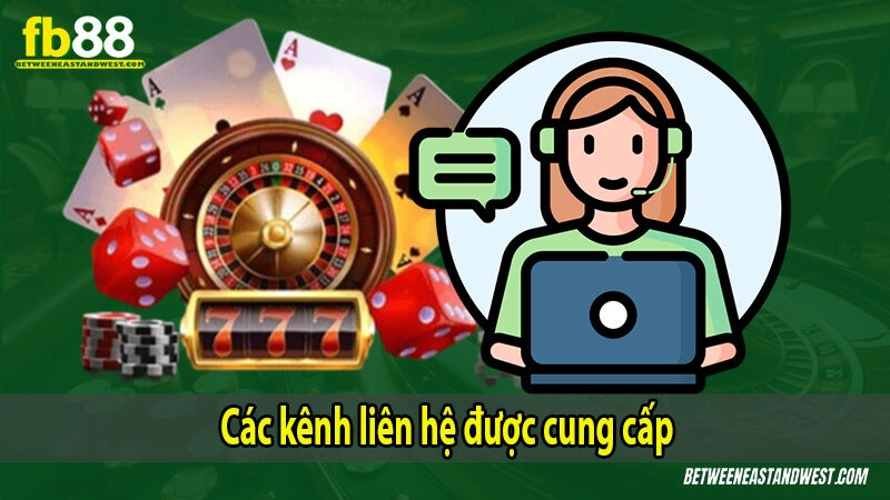 Các kênh liên hệ được cung cấp